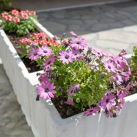 μpasias