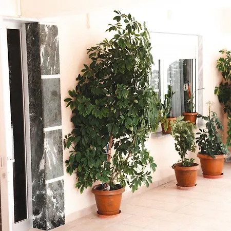 μpasias Apartment